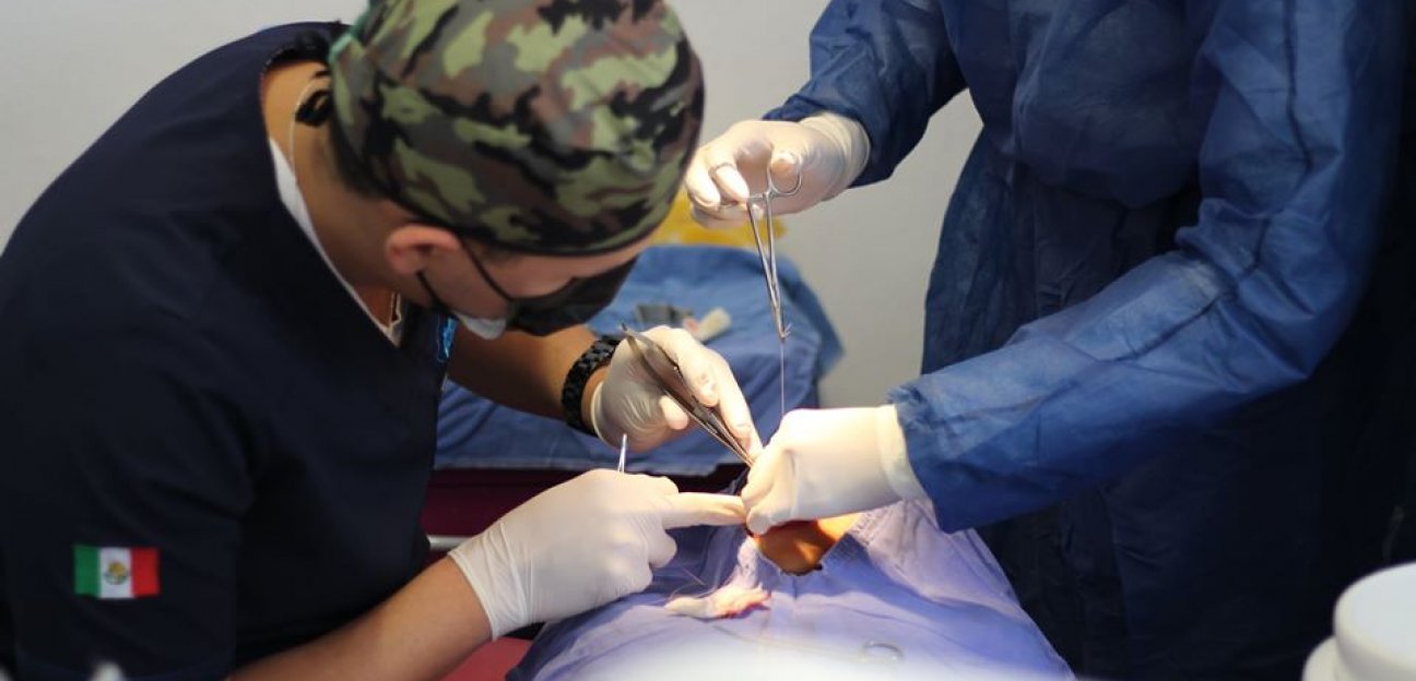 Realizan en la UBR cirugía de frenillo a niñas y niños soledenses