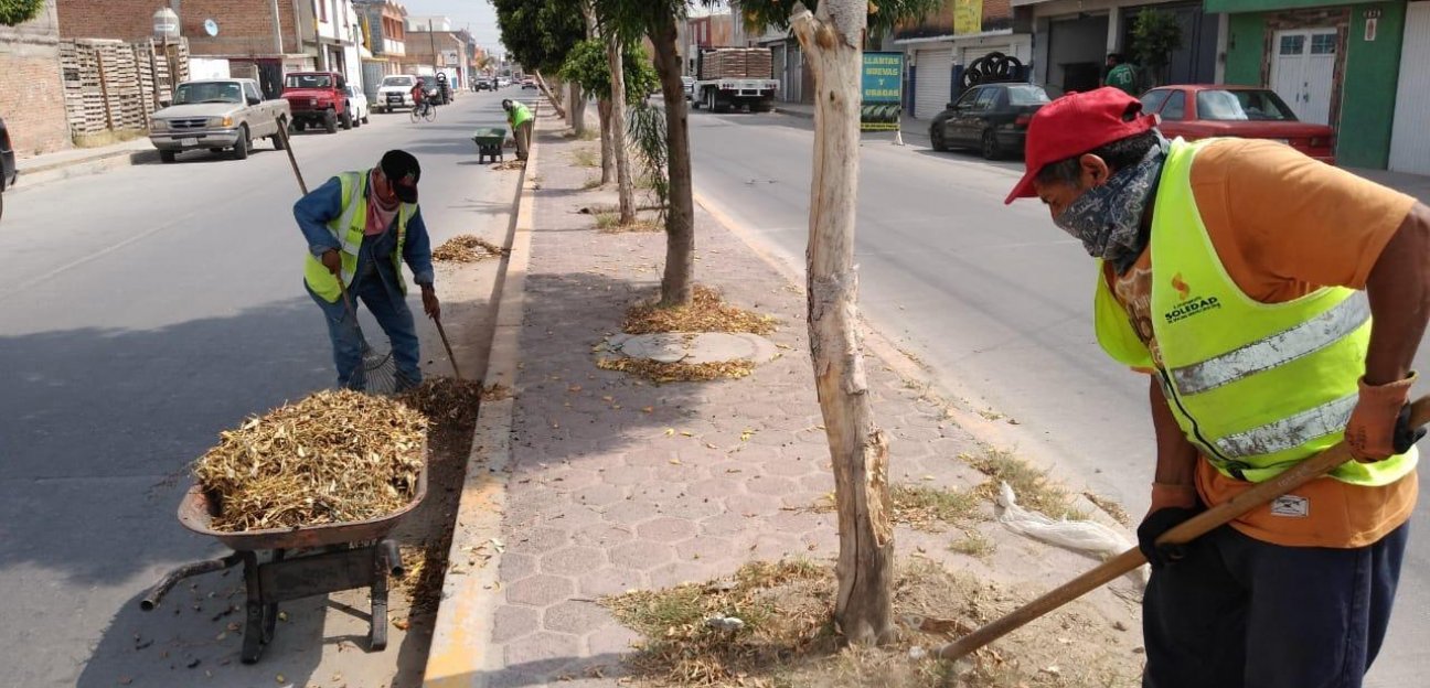 Aseo público de Soledad opera con un alto nivel de eficiencia