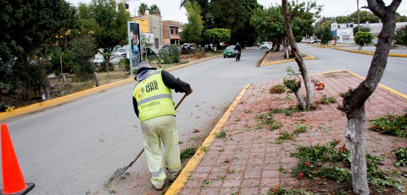Trabajando en coordinación, se intensifican labores de limpieza en respuesta a reportes ciudadanos