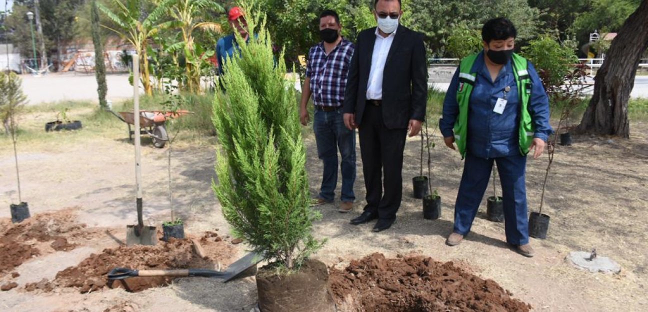 Ayuntamiento de Soledad pone en marcha programa de reforestación
