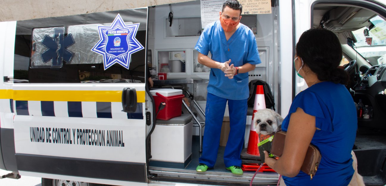 Ayuntamiento de Soledad cerrará con gran éxito programa de protección animal Ambudog