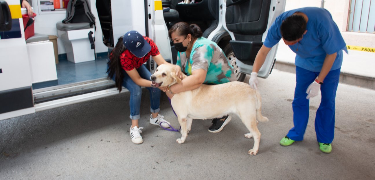 Programa Ambudog cerrará con gran éxito en Soledad