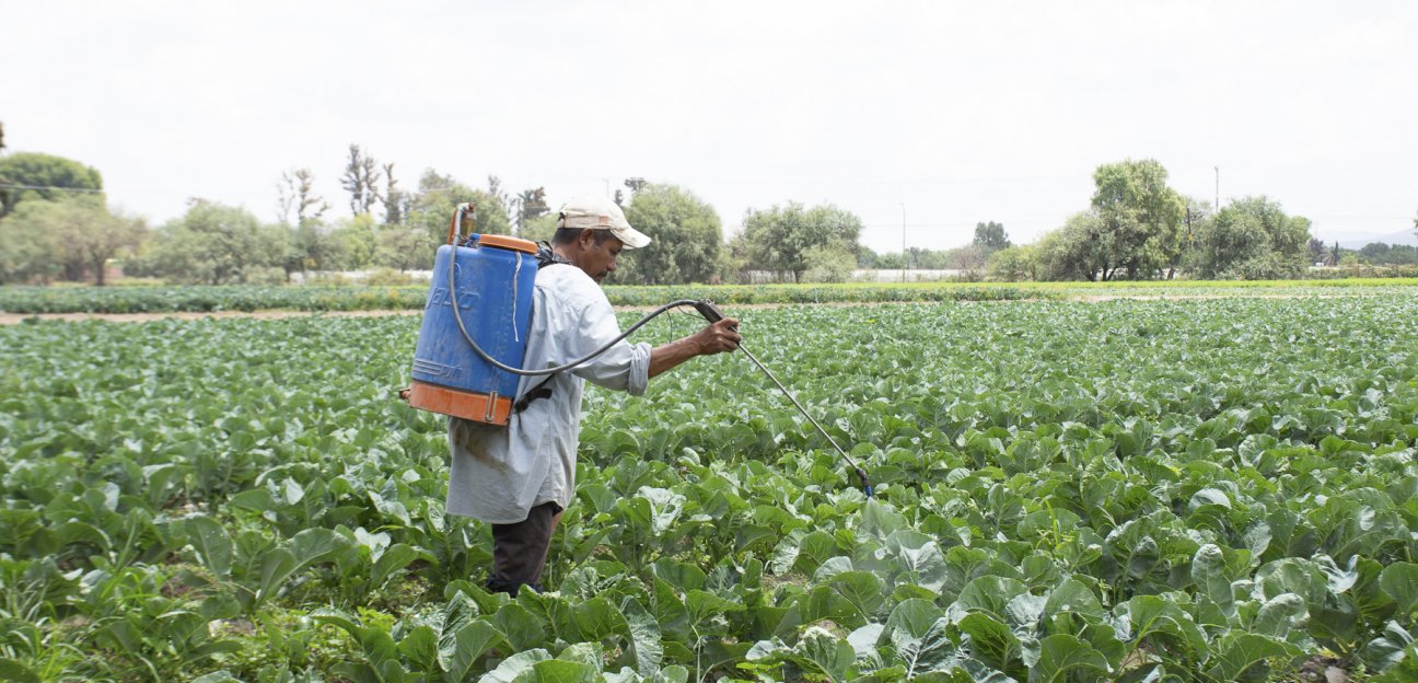 Ayuntamiento de Soledad brindó apoyo total al sector agropecuario