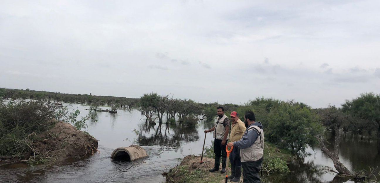 Desarrollo Rural de Soledad efectúa trabajos de limpieza en drenes y cuerpos de agua