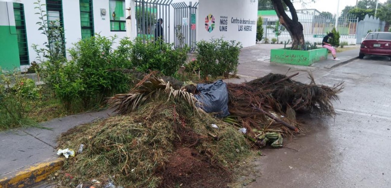 Servicios municipales de Soledad no cesa en sus labores de mantenimiento de espacios públicos