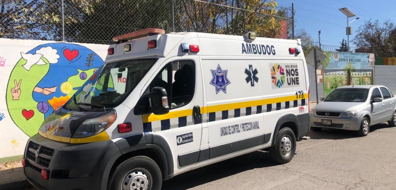 Ambudog llega a las mil atenciones brindadas