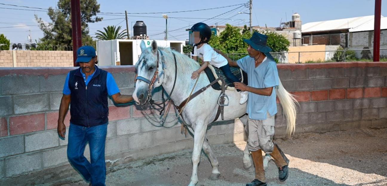 Unidad de Equinoterapia en Soledad con notable progreso en el bienestar infantil 