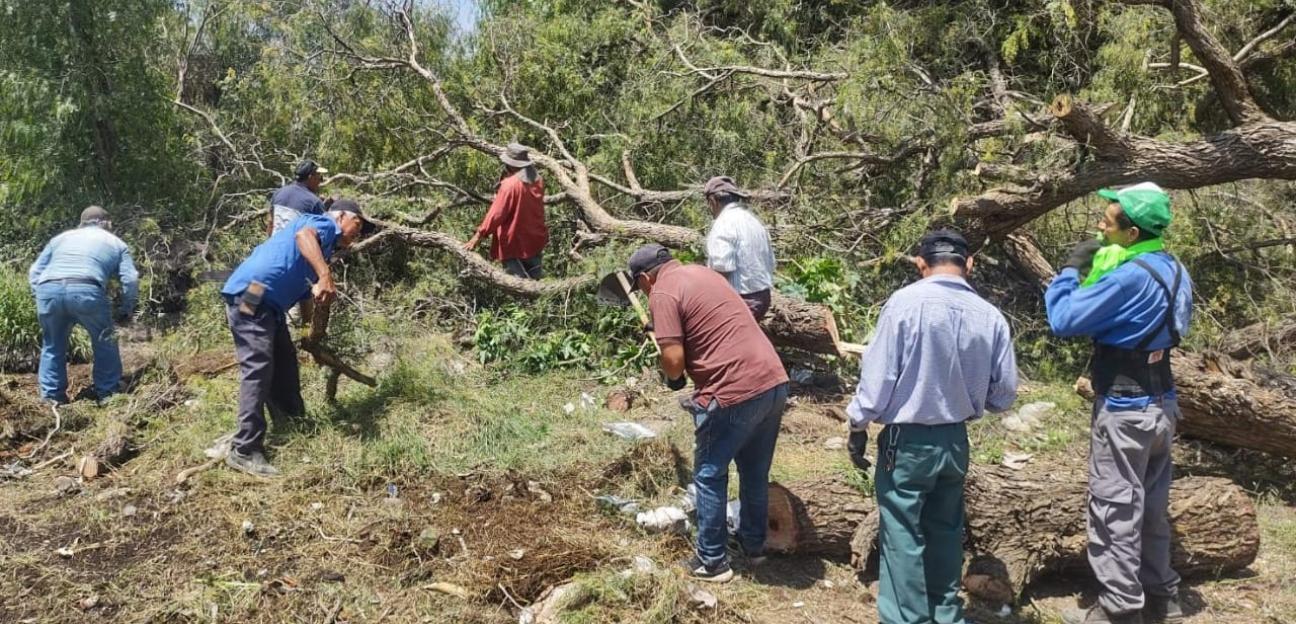 Limpieza preventiva en canales de riego en Soledad disminuyó riesgos a productores