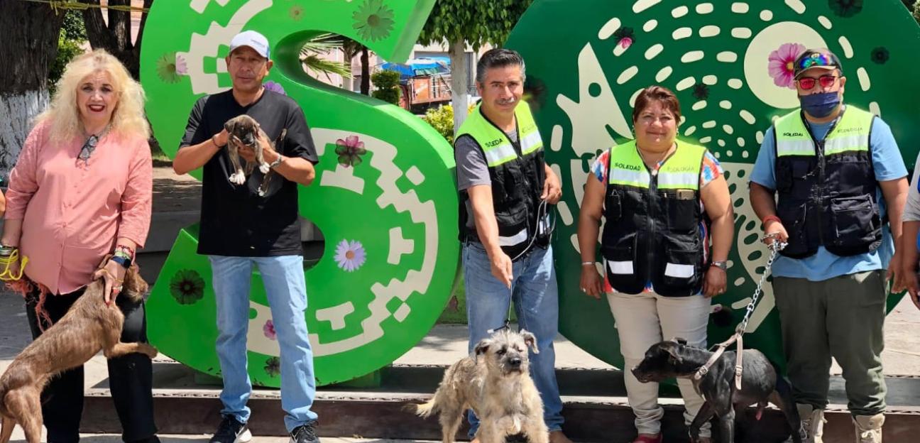 Soledad de Graciano Sánchez realiza segunda jornada de adopción responsable de mascotas