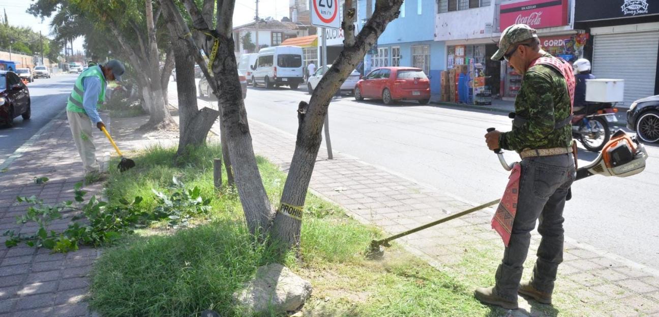 Servicios Municipales de Soledad amplía horarios y lanza atención telefónica