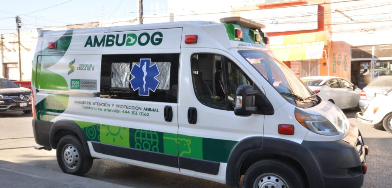 Ambudog reanuda recorridos en colonias de Soledad para promover el cuidado animal