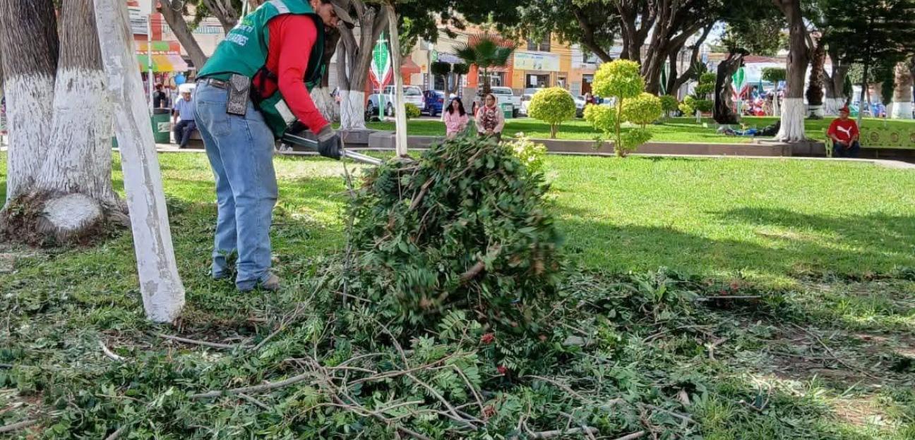 Municipio de Soledad ofrecerá atención ciudadana esencial durante festejos patrios