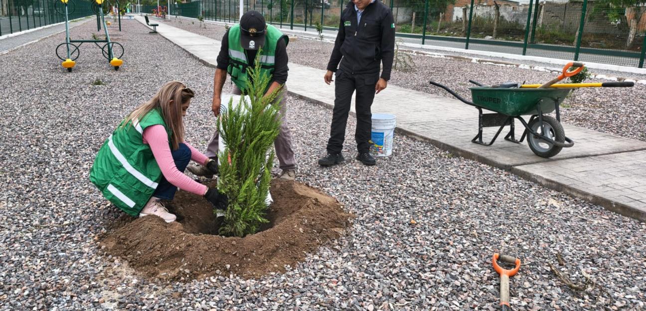 Ayuntamiento de Soledad enverdece con más reforestación el parque lienal