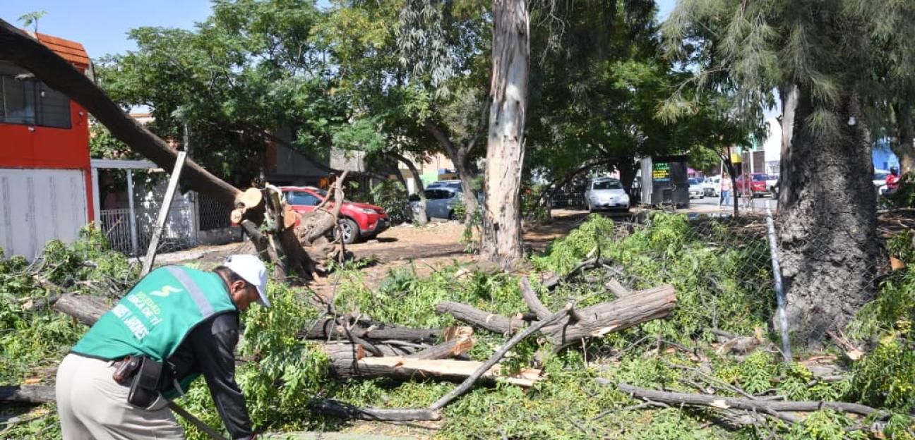 Gobierno municipal de Soledad atendió oportunamente incidentes derivado de la intensa lluvia